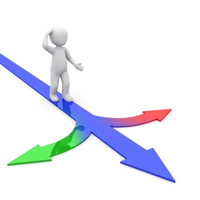 New Feature: Live Polling and Real-Time Analytics